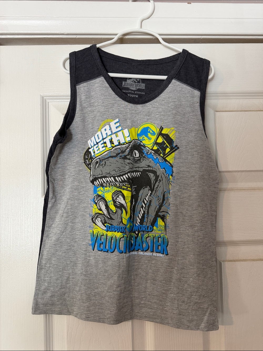 Jurassic World Kids Gray Sleeveless Tank Top - Velocicoaster Graphic
